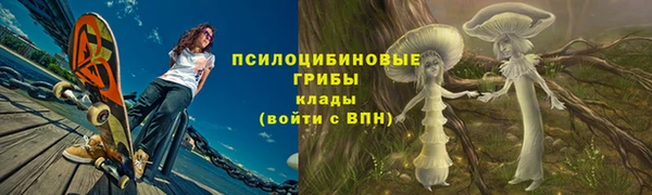 2c-b Алексин